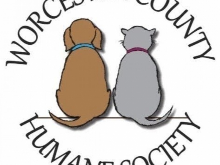 Worcester County Humane Society