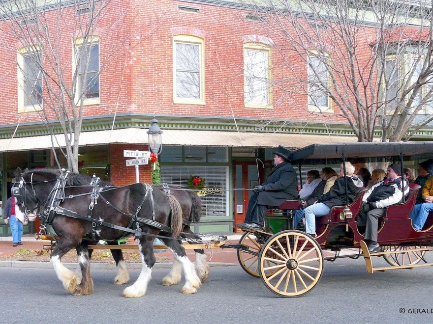 R and B Carriage Rides