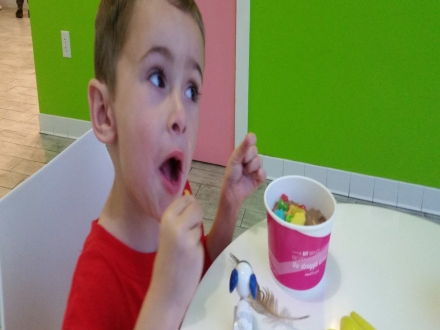 Sweet Frog Premium Frozen Yogurt