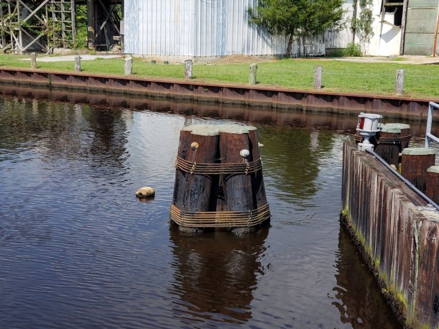 Pocomoke River Canoe Company