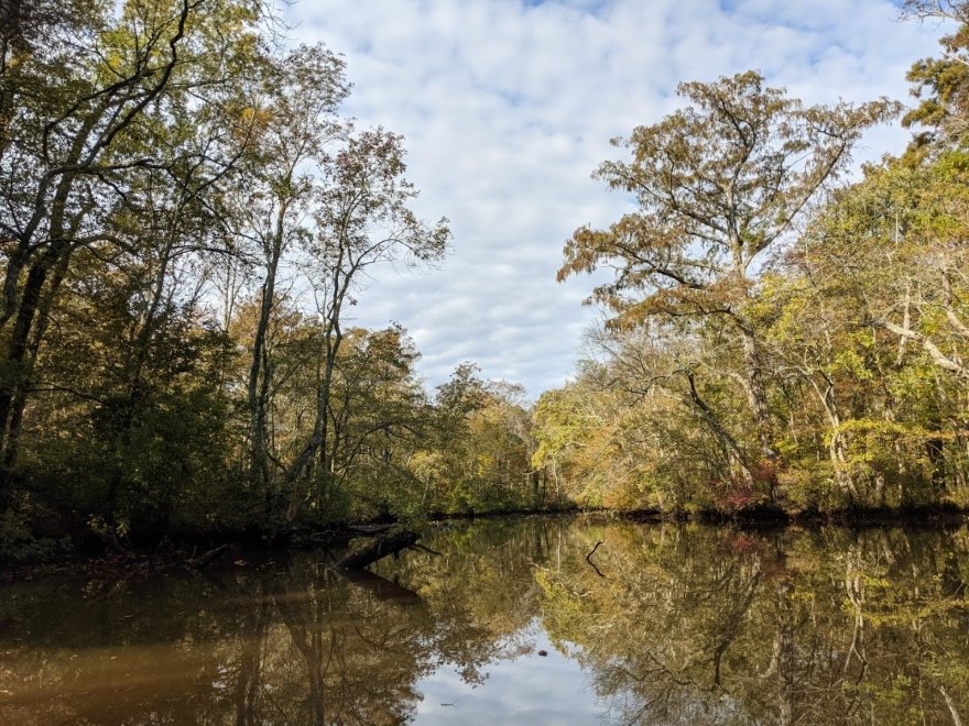 Pocomoke River Canoe Company