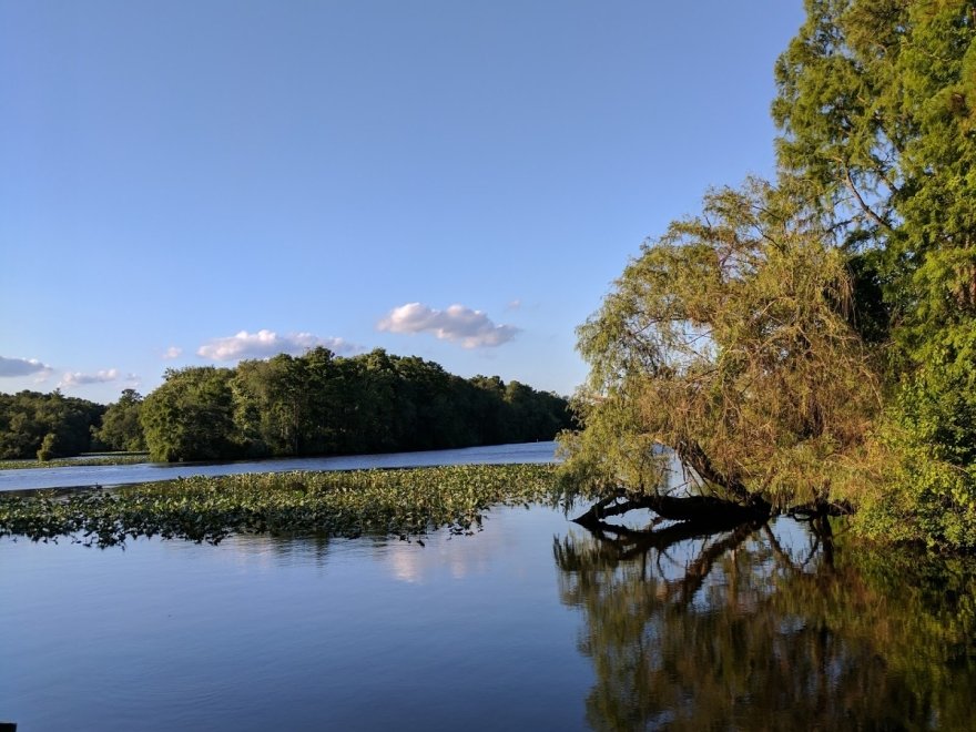 Byrd Park