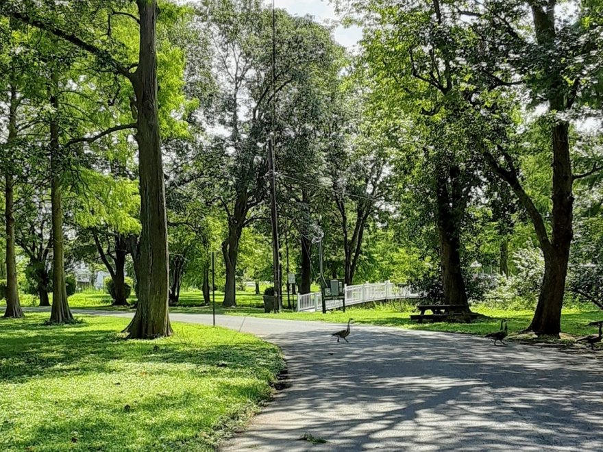 Byrd Park