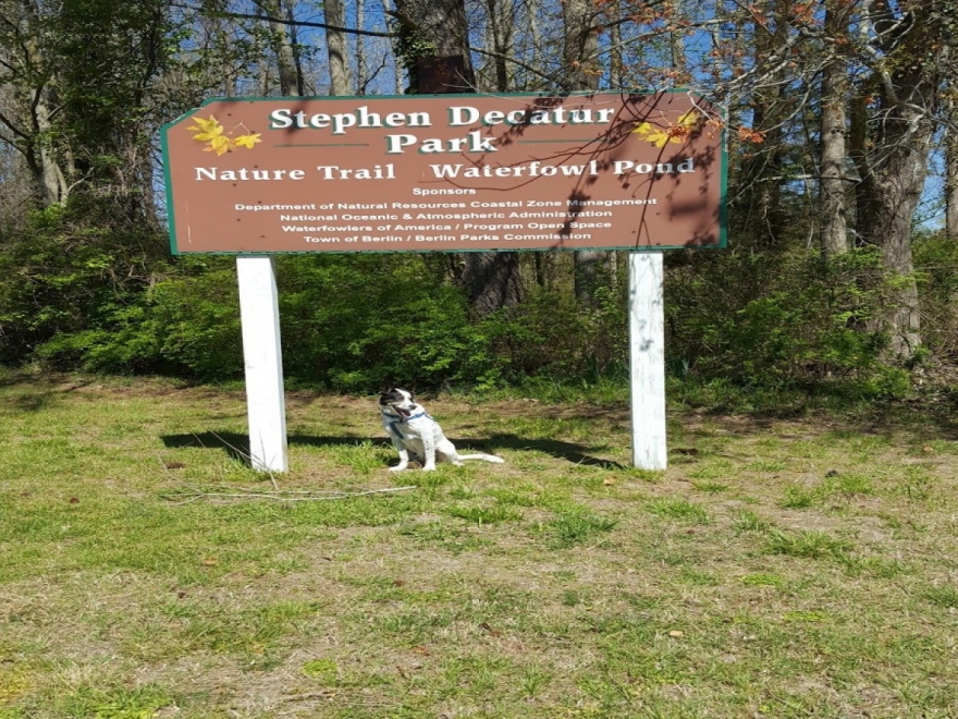 Stephen Decatur Park