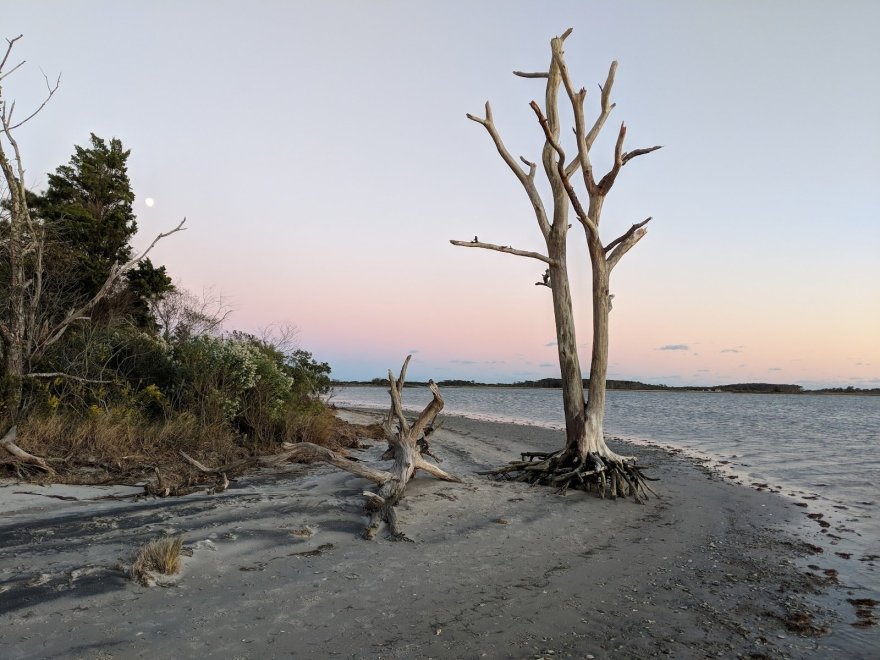 Assateague Coastal Trust