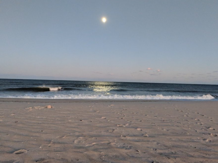 Assateague Coastal Trust