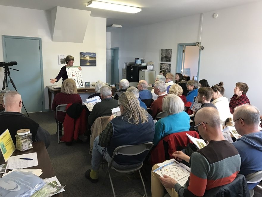 Lower Shore Land Trust