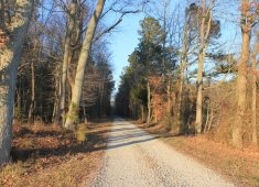Lower Shore Land Trust
