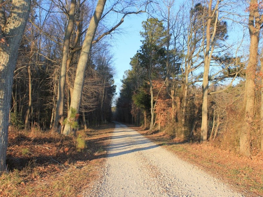 Lower Shore Land Trust