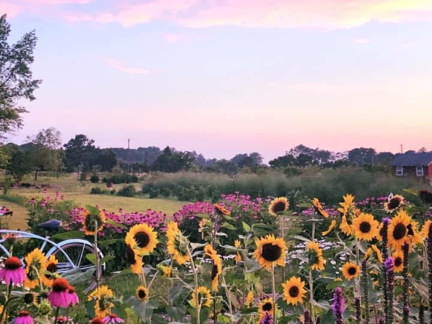 Assateague Farm