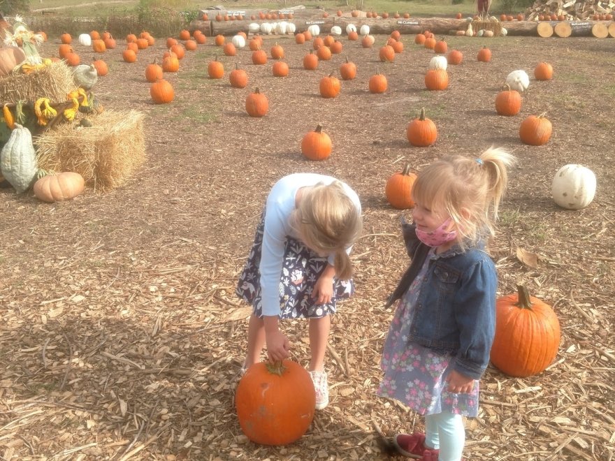 Assateague Farm