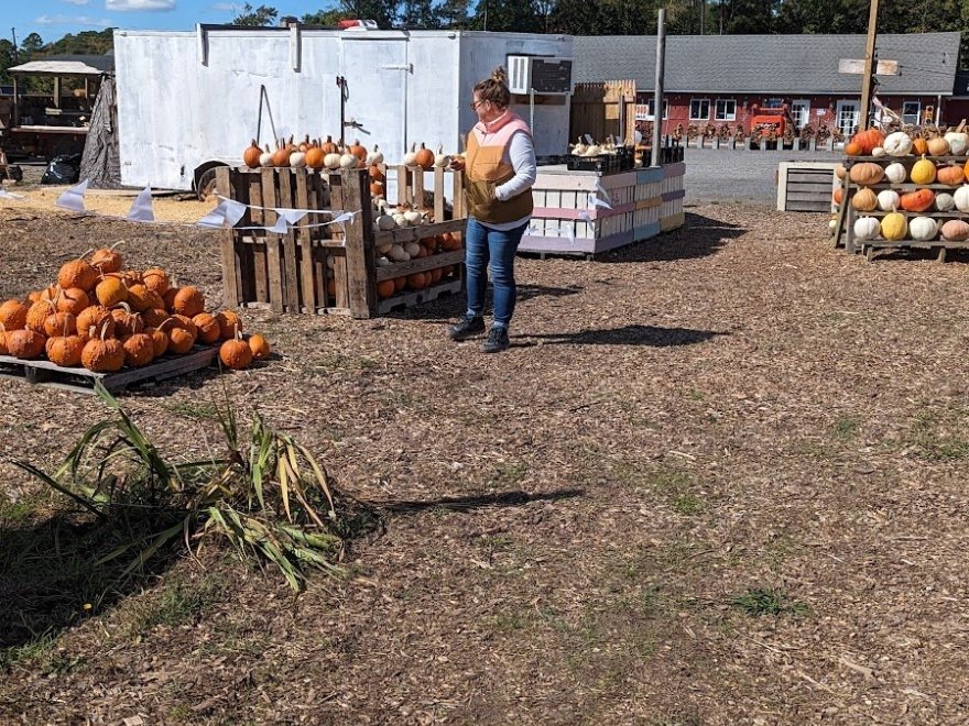 Assateague Farm