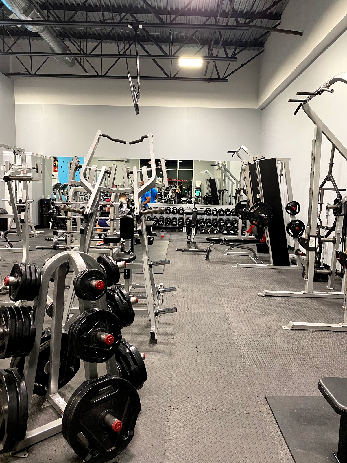 AOC3809＊an＊gyM Wall-Mounted F9 Fold-Away Functional Trainer - Torque Fitness