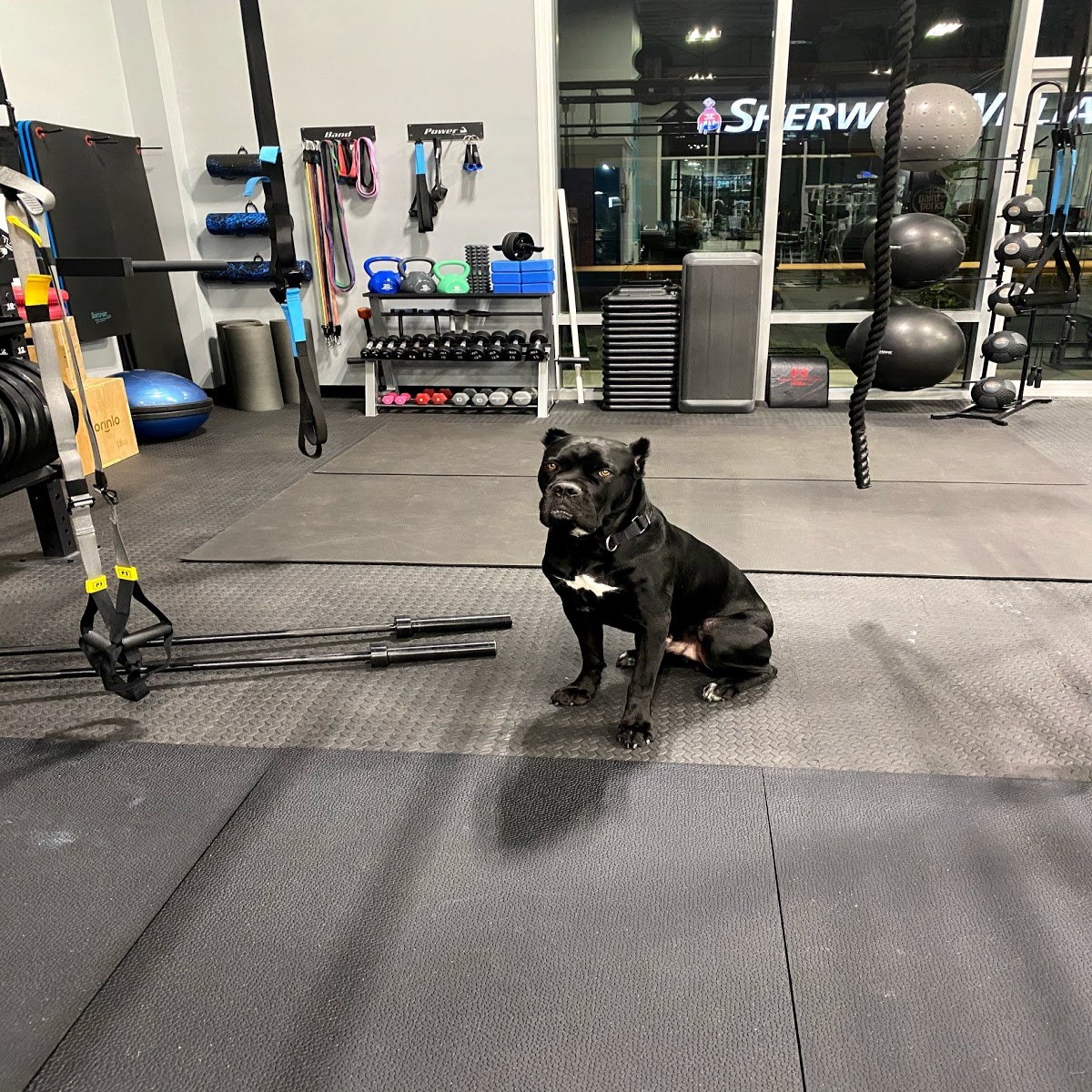 AOC3809＊an＊gyM OC FIT GYM | Explore OC