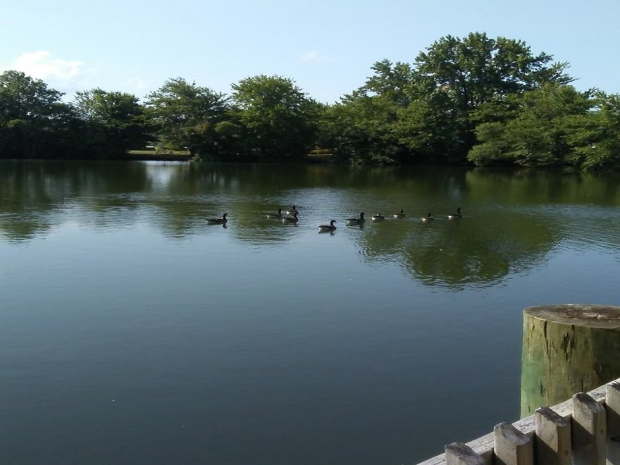 Veterans Memorial Park