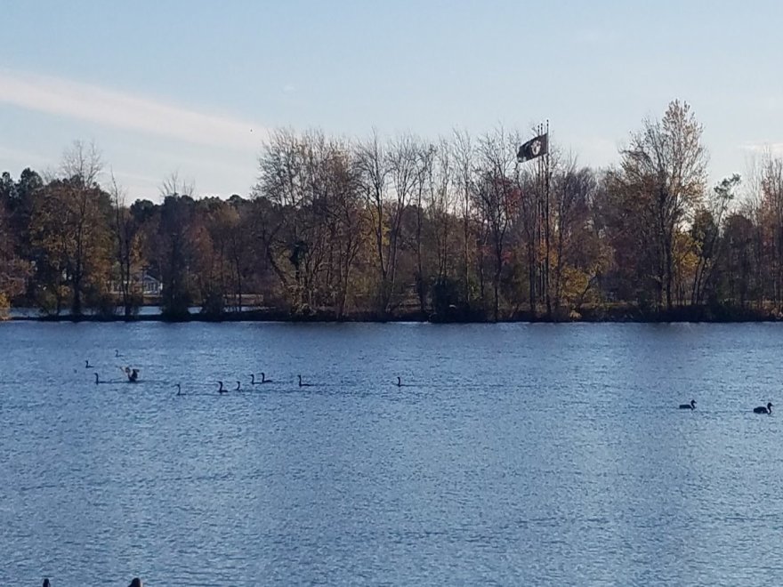 Veterans Memorial Park