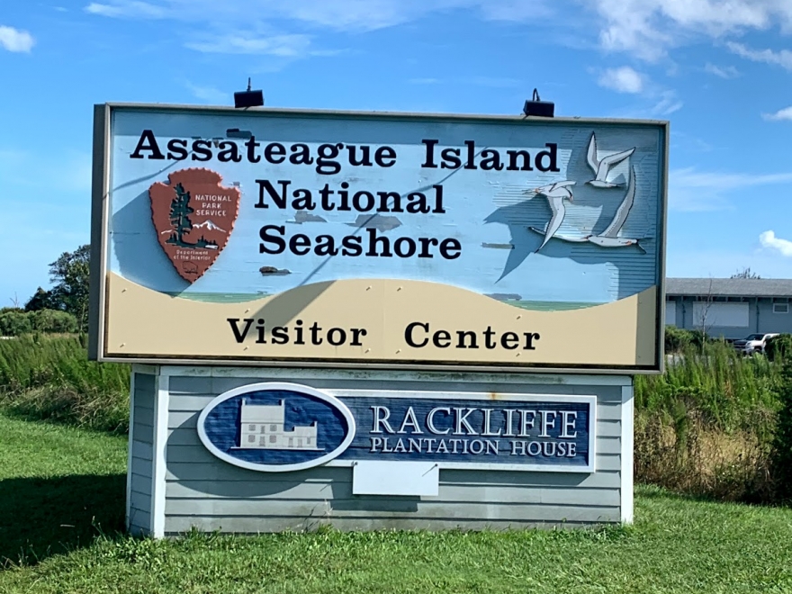 Assateague Island Tours