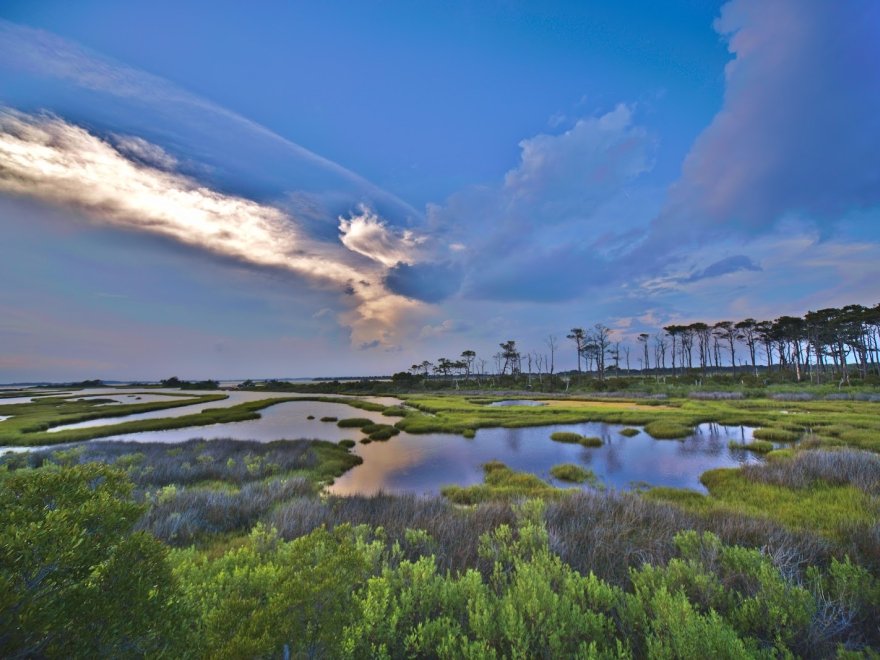 Assateague Island Tours