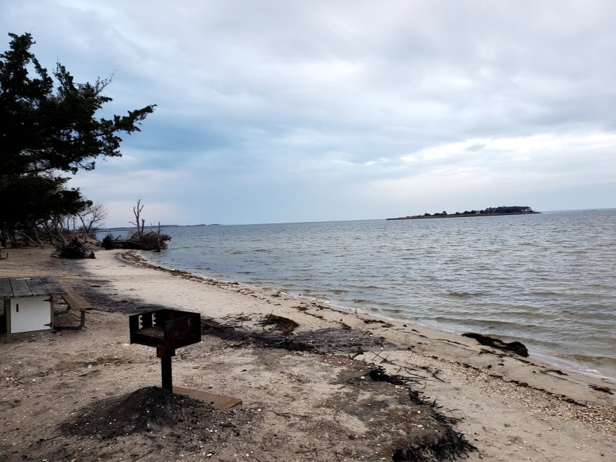 Assateague Island National Seashore - Bayside Drive-in Campground