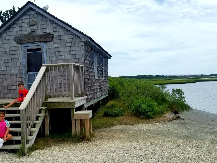 Assateague Island National Seashore - Bayside Drive-in Campground