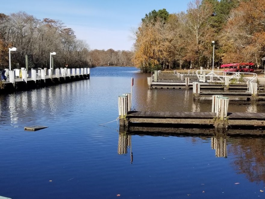 Pocomoke River State Park: Shad Landing