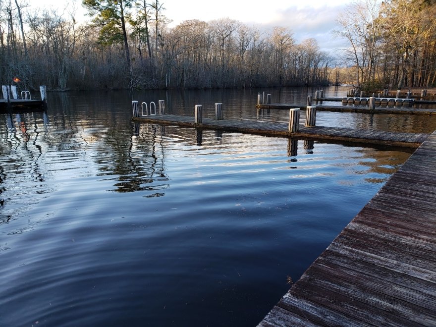 Pocomoke River State Park: Shad Landing