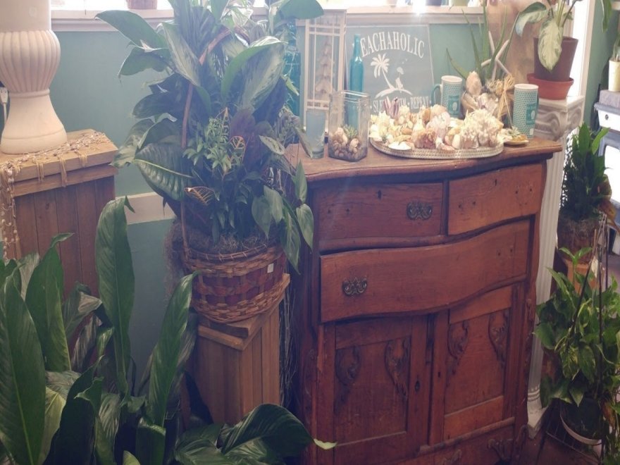 Ocean City Florist, Gifts, & Flower Delivery