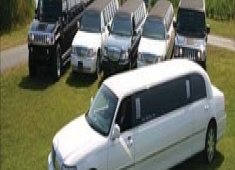 Lovin Life Limos