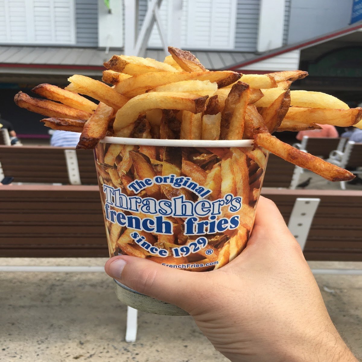 Thrasher fries hotsell near me