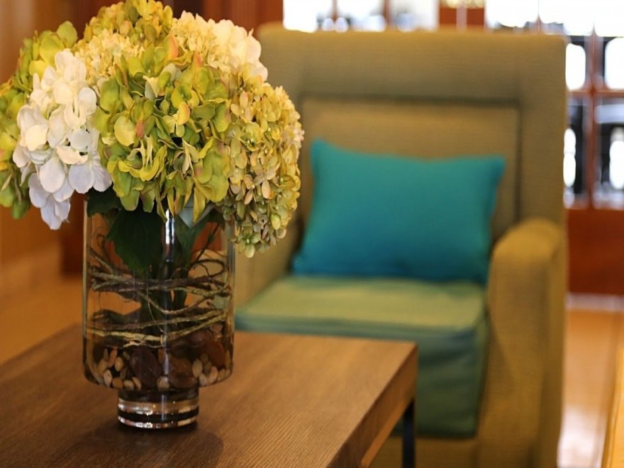 Hotel Bethany Beach