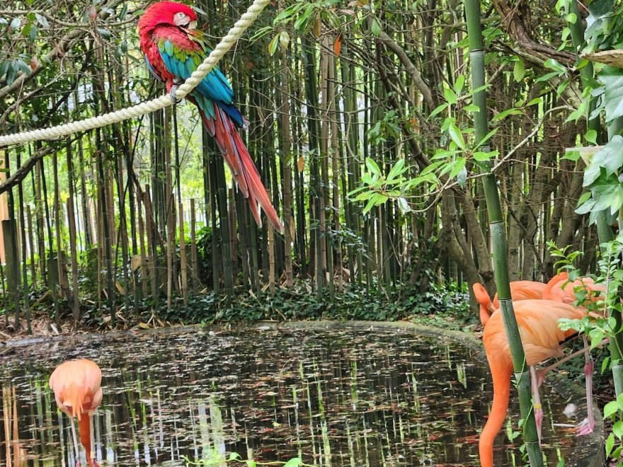 Salisbury Zoological Park