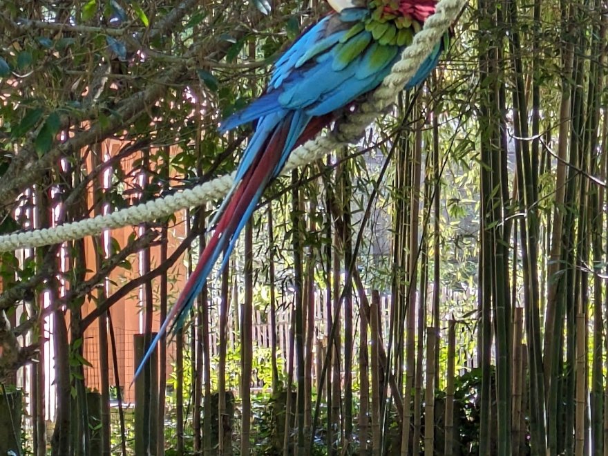 Salisbury Zoological Park