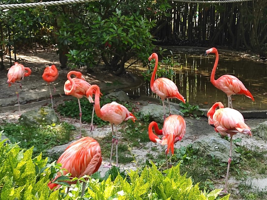 Salisbury Zoological Park