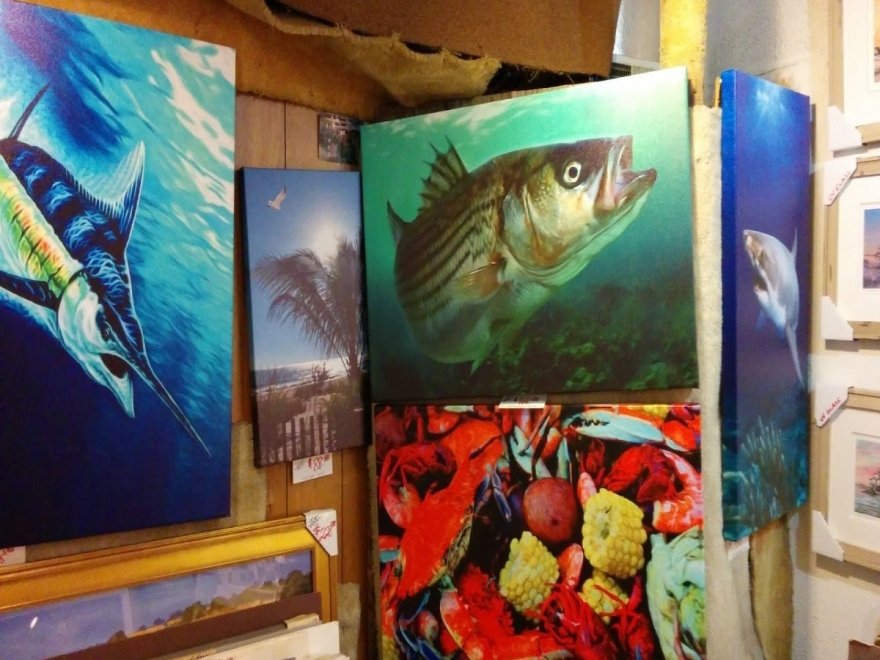 Ocean Gallery