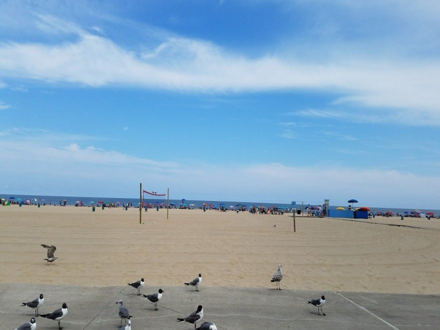 Ocean Gallery