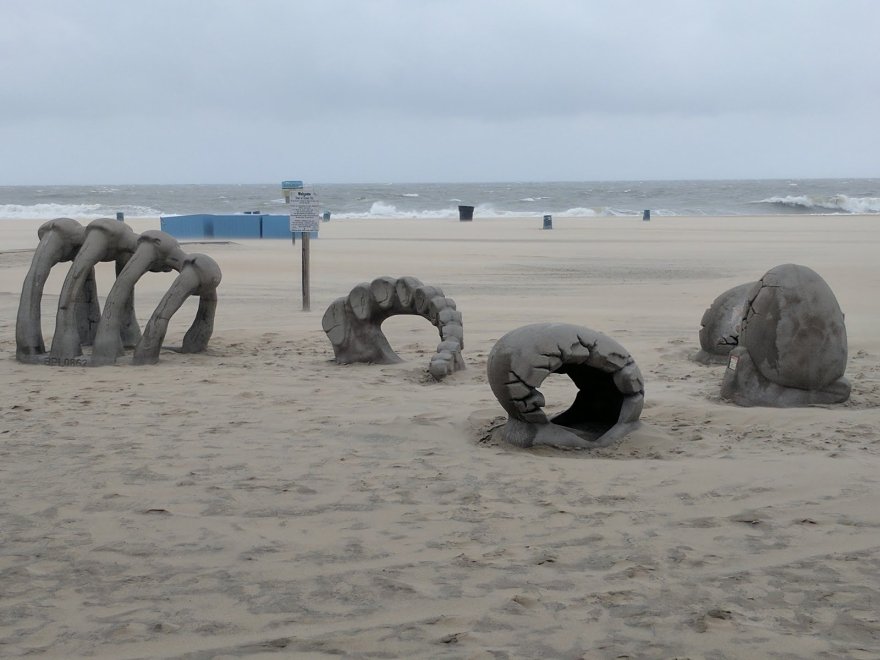 Ocean Gallery