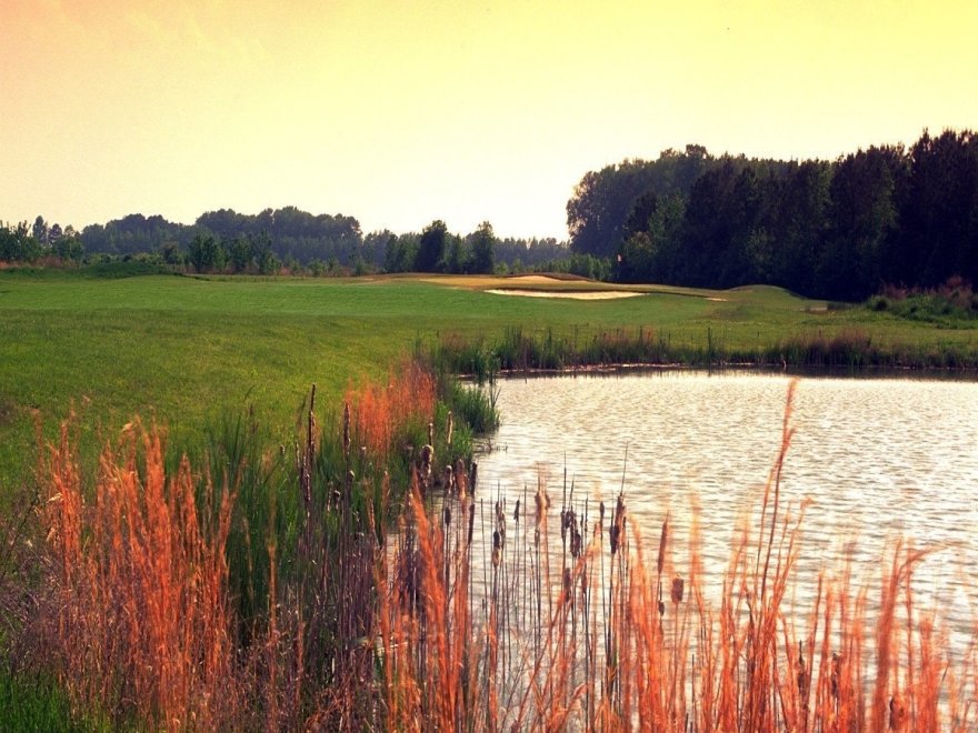 Play Golf in OC