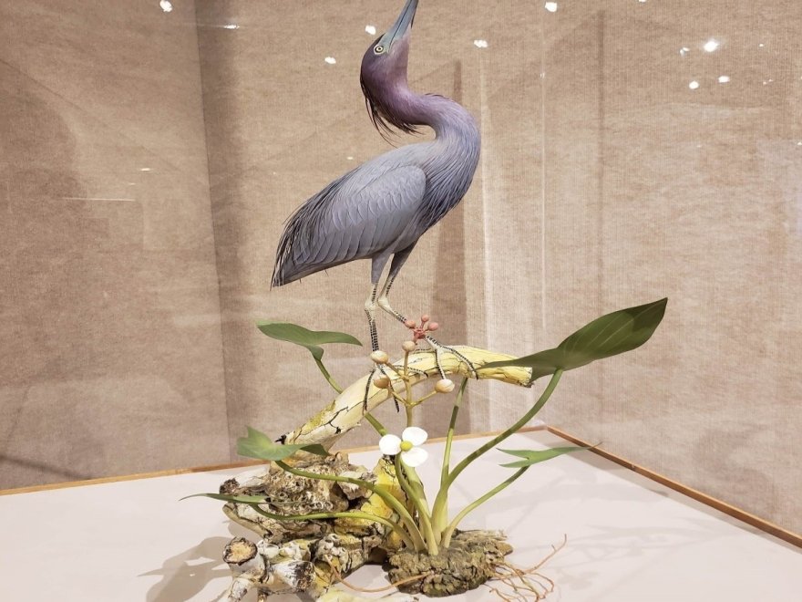 The Ward Museum of Wildfowl Art
