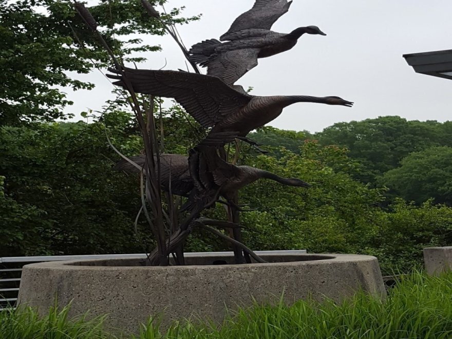 The Ward Museum of Wildfowl Art