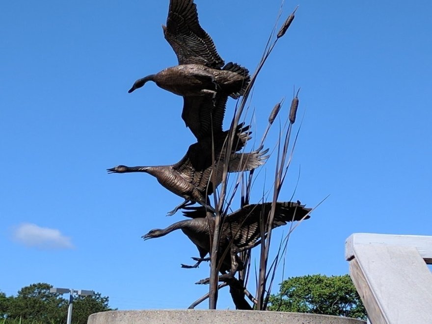 The Ward Museum of Wildfowl Art