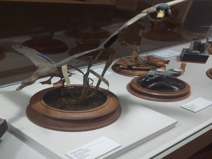 The Ward Museum of Wildfowl Art