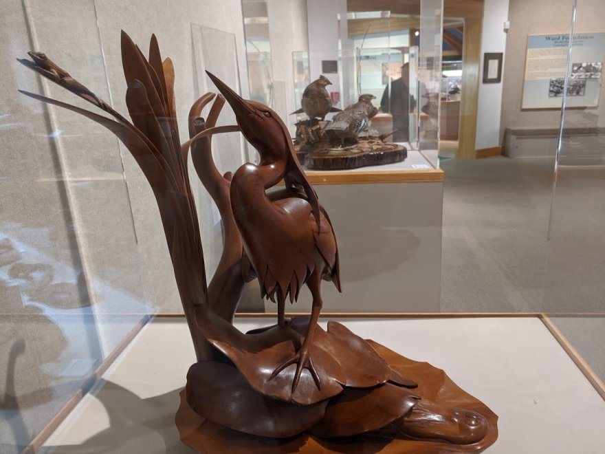The Ward Museum of Wildfowl Art