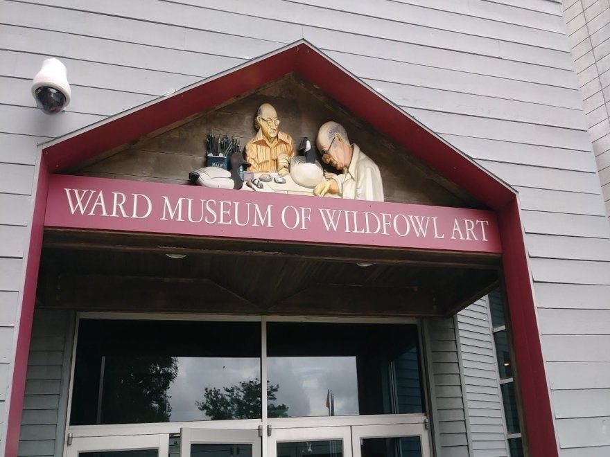 The Ward Museum of Wildfowl Art