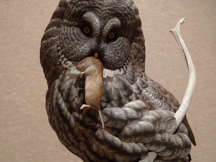 The Ward Museum of Wildfowl Art