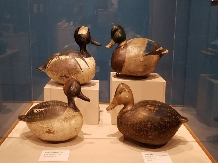 The Ward Museum of Wildfowl Art