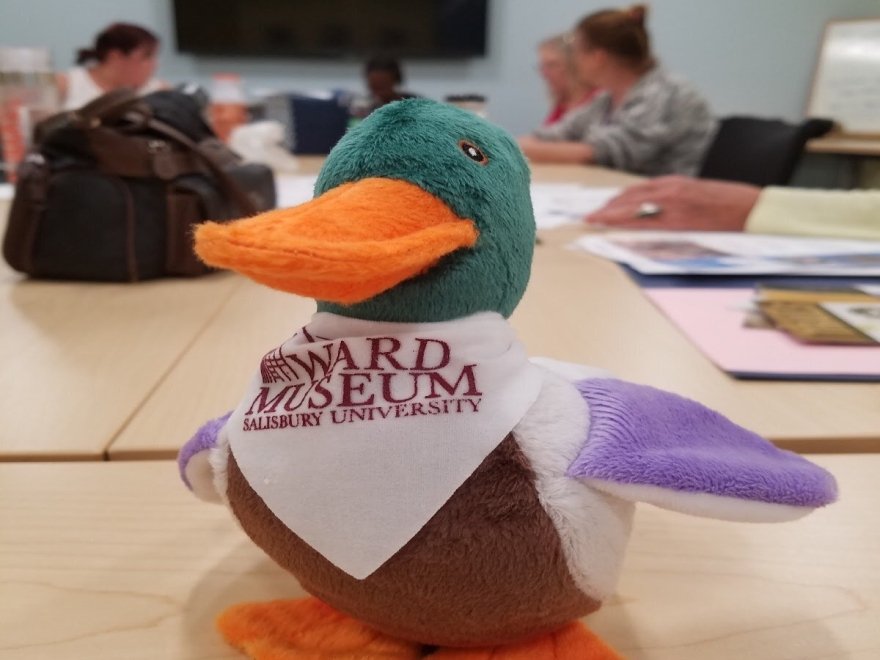 The Ward Museum of Wildfowl Art
