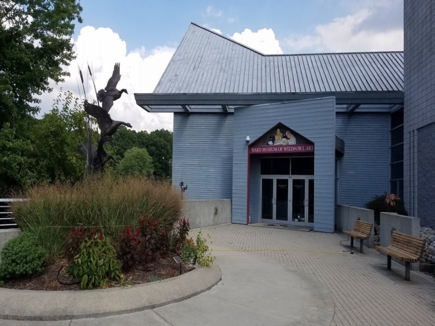 The Ward Museum of Wildfowl Art