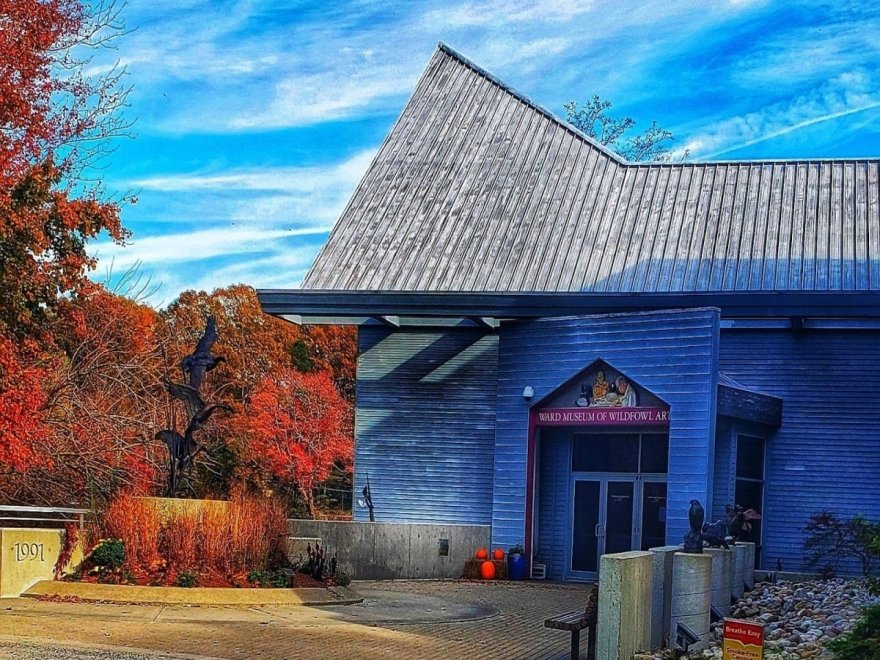 The Ward Museum of Wildfowl Art