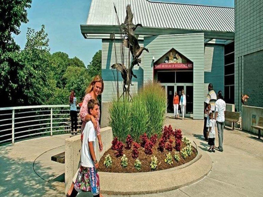 The Ward Museum of Wildfowl Art
