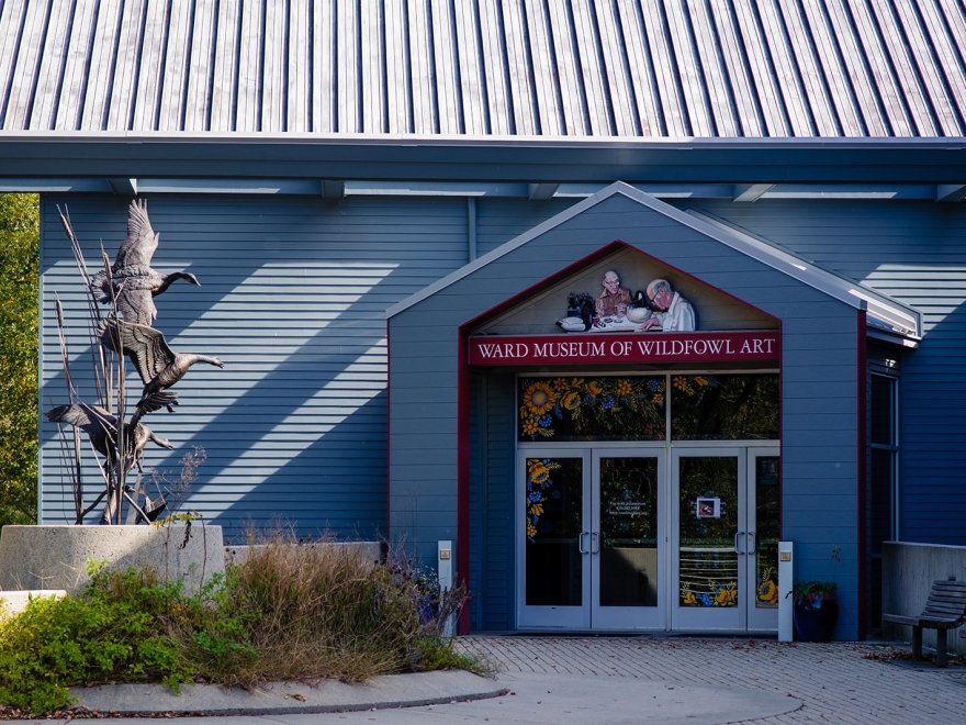 The Ward Museum of Wildfowl Art